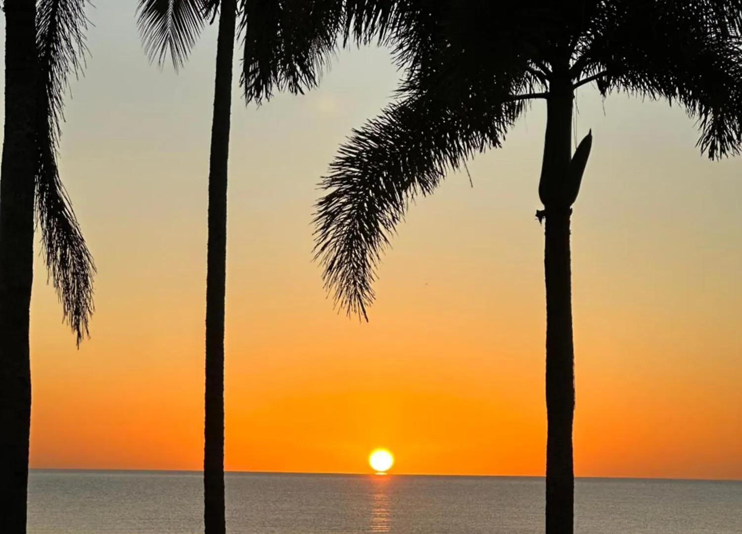 Absolute Beachfront Bliss - Newell Beach - 10 Metres To The Ocean 0*,  Austrálie