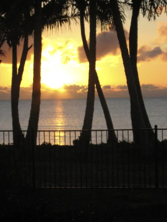 Absolute Beachfront Bliss - Newell Beach - 10 Metres To The Ocean